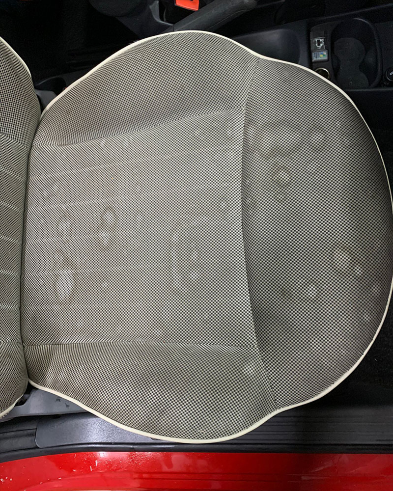 Washing and Sanitizing Car Seat 500