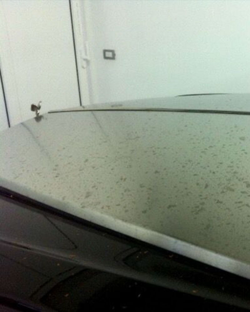 Car Detailing Rolls Royce Phantom